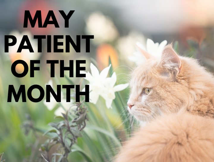 Patient of the Month - MAY 2024