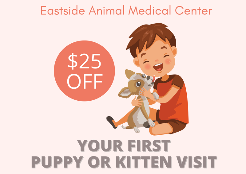 Carousel Slide 1: Click here for additional information!