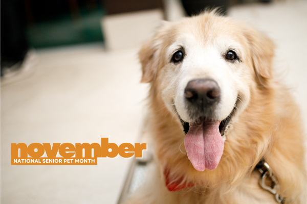 $300 off stem cell therapy in October