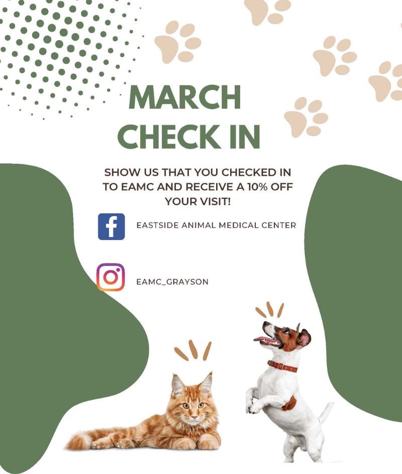 veterinarians near me