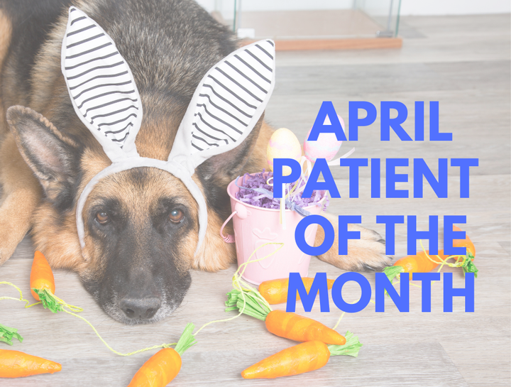 Patient of the Month - April 2022