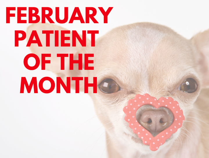 Patient of the Month - February 2022