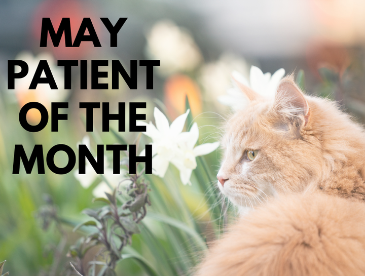 Patient of the Month - May 2023