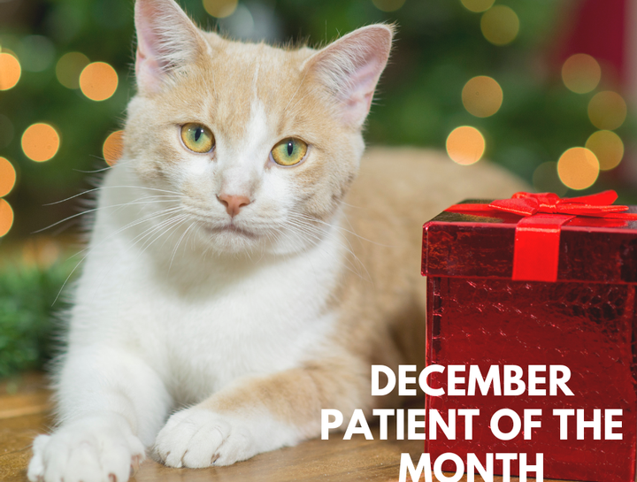 Patient of the Month - December 2023
