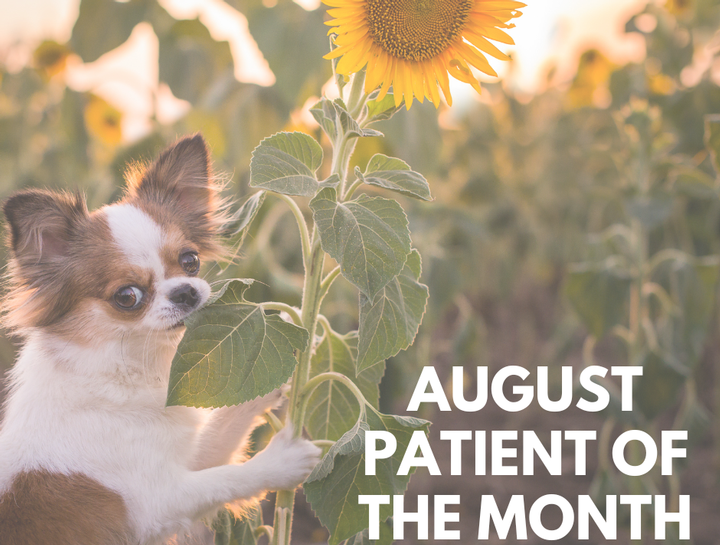 Patient of the Month - August 2023