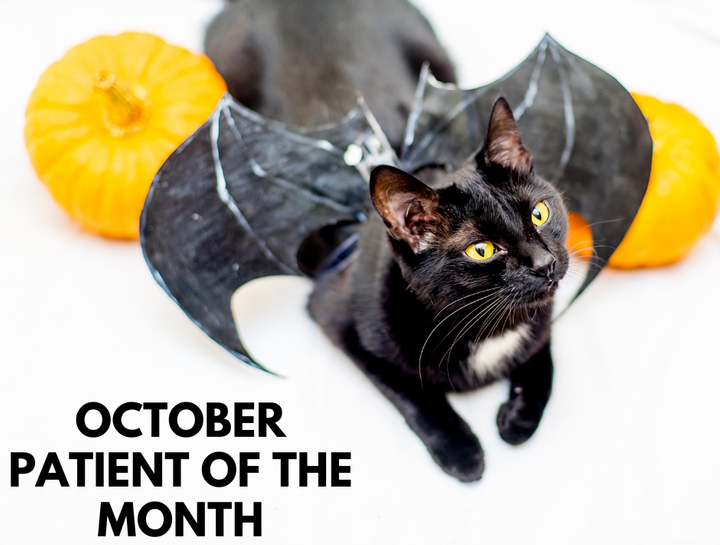 Patient of the Month - October 2022