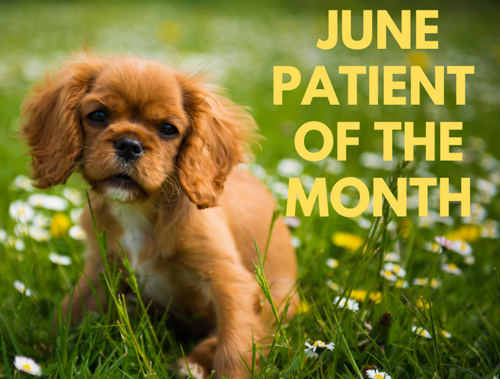 Patient of the Month - June 2023