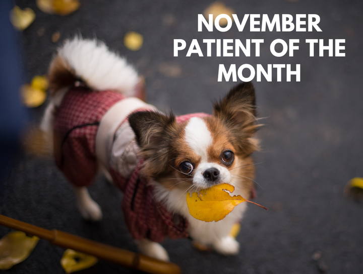 Patient of the Month - November 2022