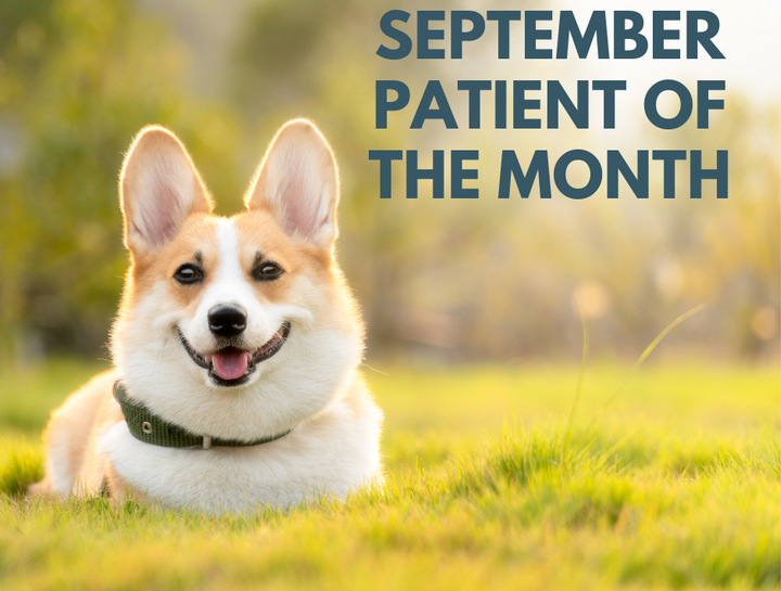Patient of the Month - September 2022