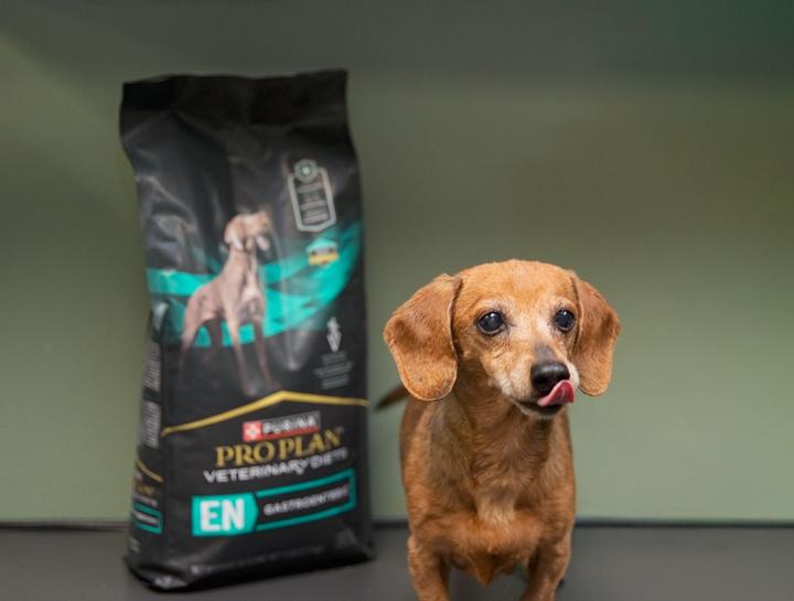 $City pet nutritionist