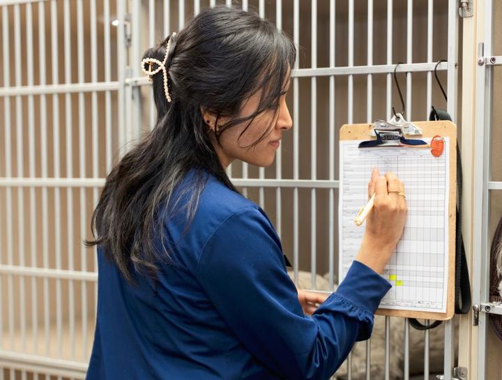 Emergency Veterinary Care
